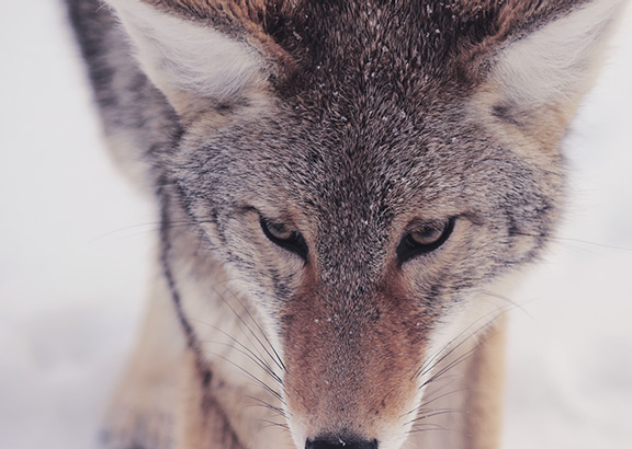 Blockchain Automation Tools